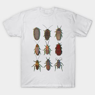 Chromatic cockroach pattern T-Shirt